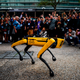 Image for article titled NYPD Puts Down Its Godforesaken Robot Dog